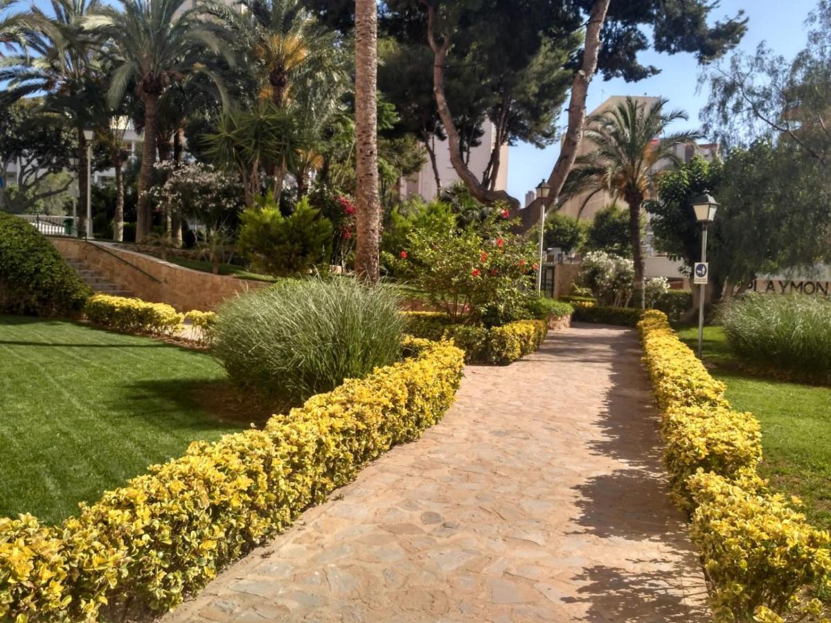 Wifi Loix Apartment Benidorm Dış mekan fotoğraf