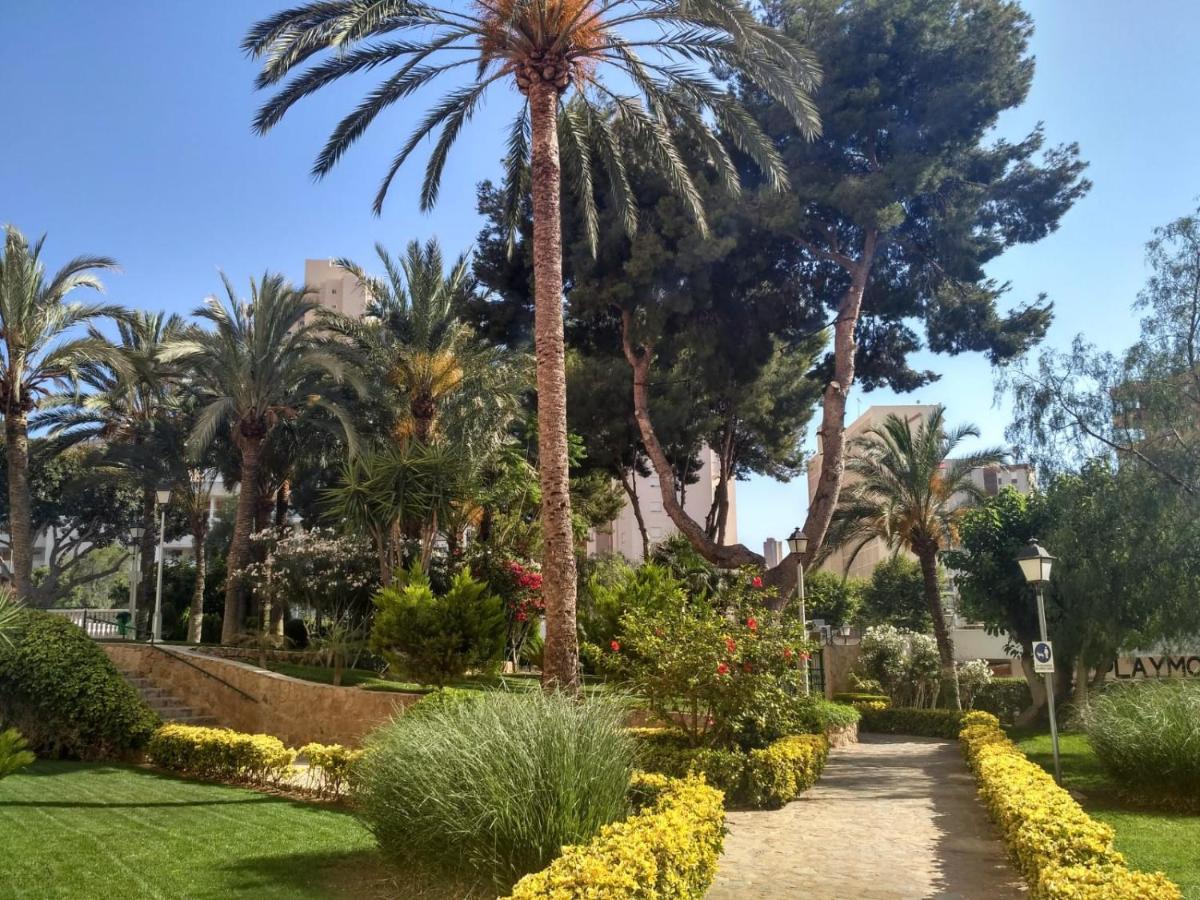 Wifi Loix Apartment Benidorm Dış mekan fotoğraf